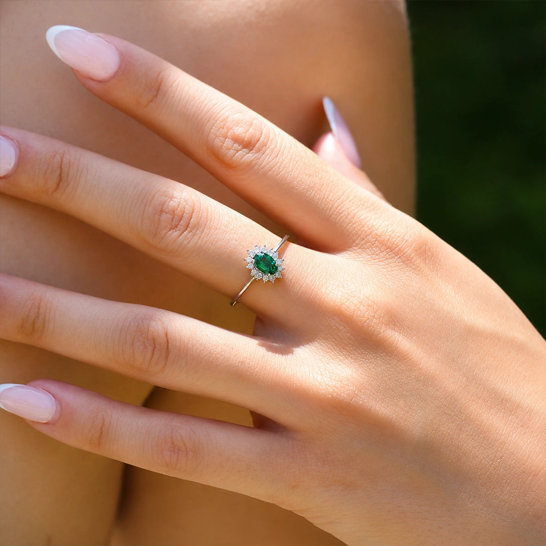 Anillo Dinastia