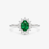 Anillo Dinastia