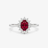 Anillo Dinastia