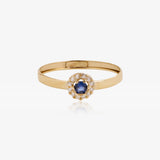 Anillo rosetón
