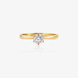 Solitario 6 garras