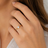 Solitario 6 Garras