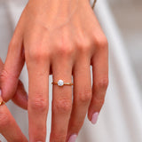 Solitario 4 Garras