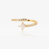 Anillo Union