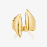 Anillo Escudo