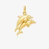 Dolphin couple