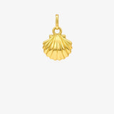 Shell Pendant