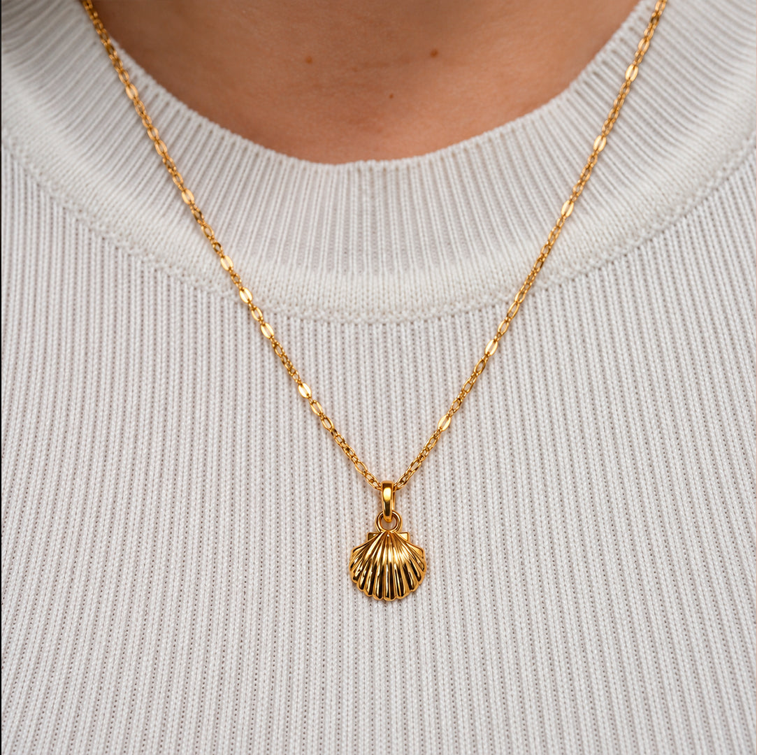 Shell Pendant
