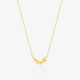 Star climbers necklace.