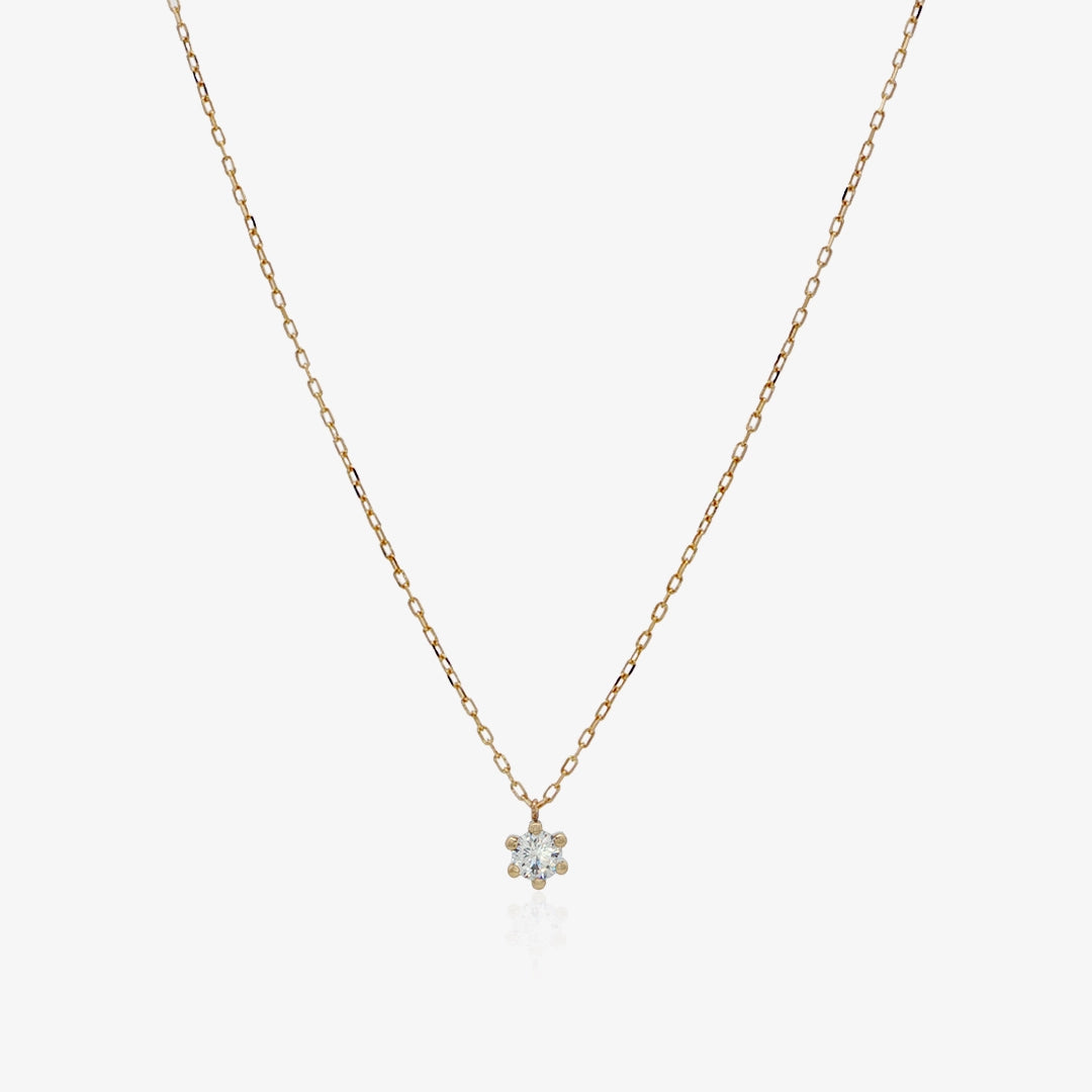 Collar 6 Garras
