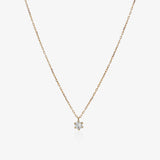 Collar 6 Garras