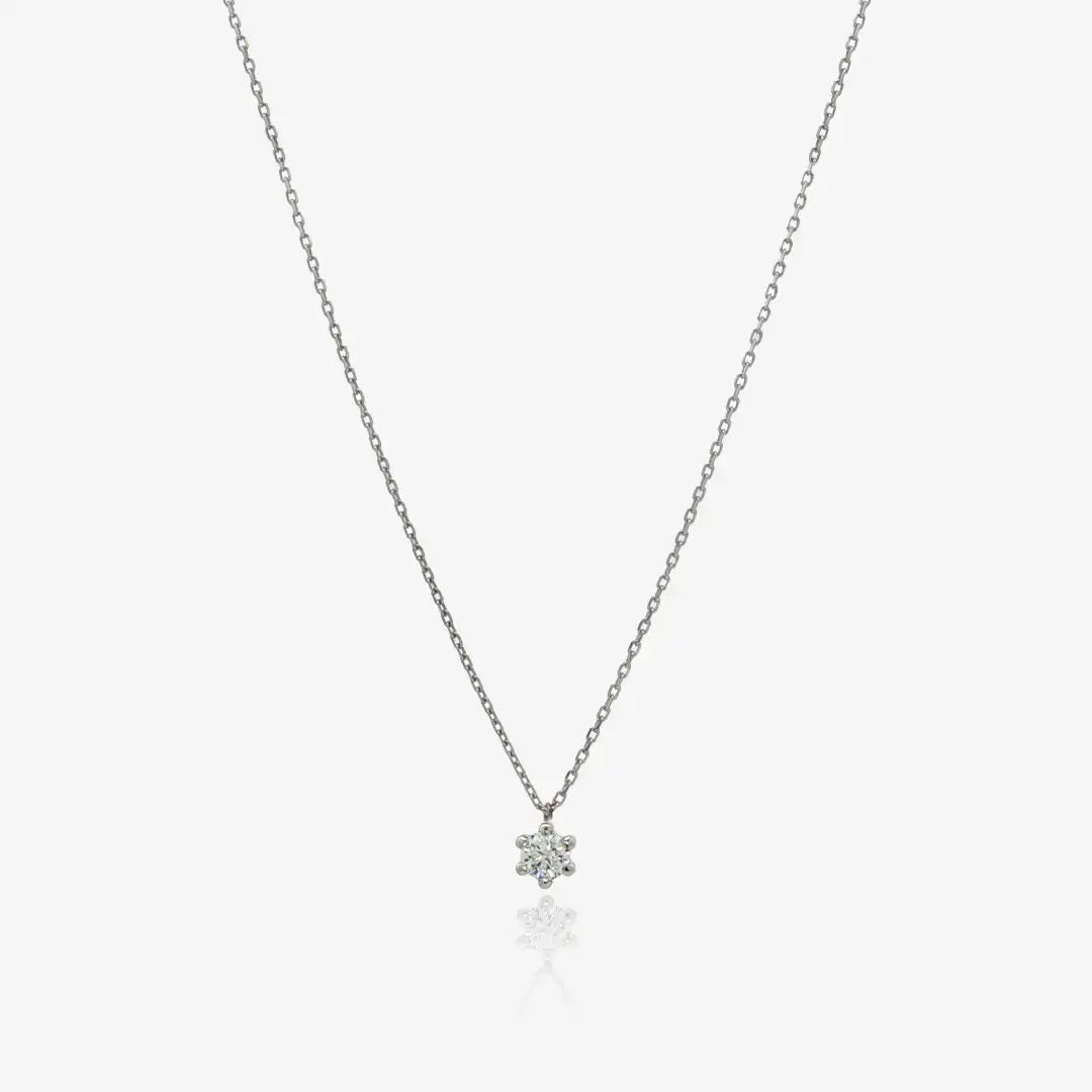 Collar 6 Garras