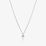 Collar 6 Garras