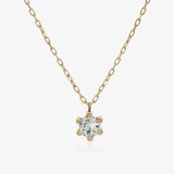 Collar 6 Garras