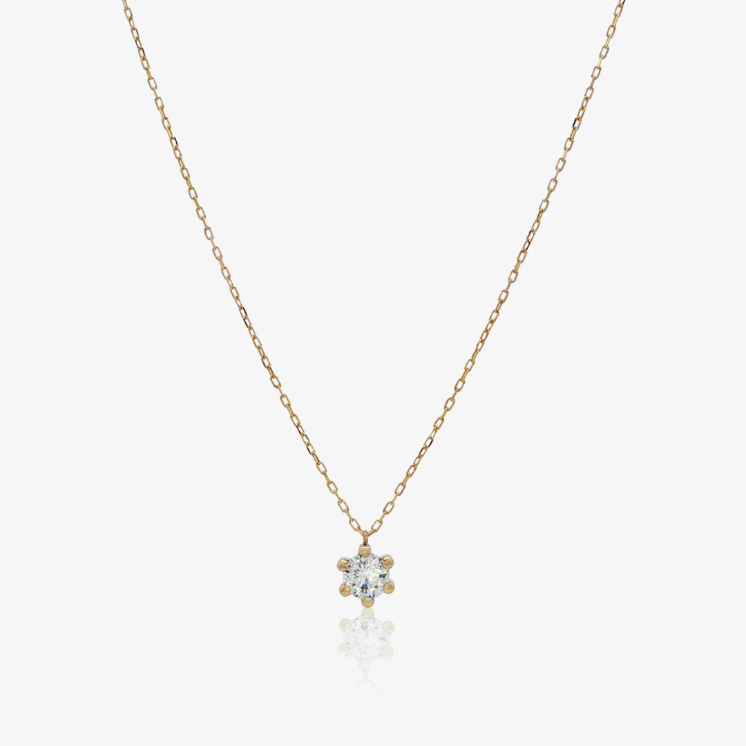 Collar 6 Garras