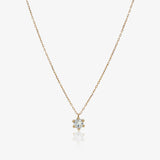 Collar 6 Garras
