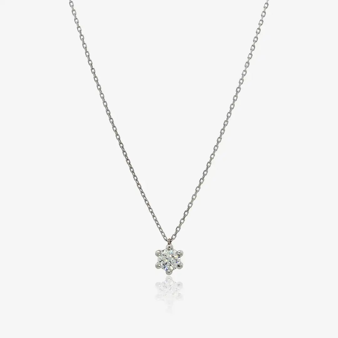 Collar 6 Garras