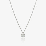 Collar 6 Garras