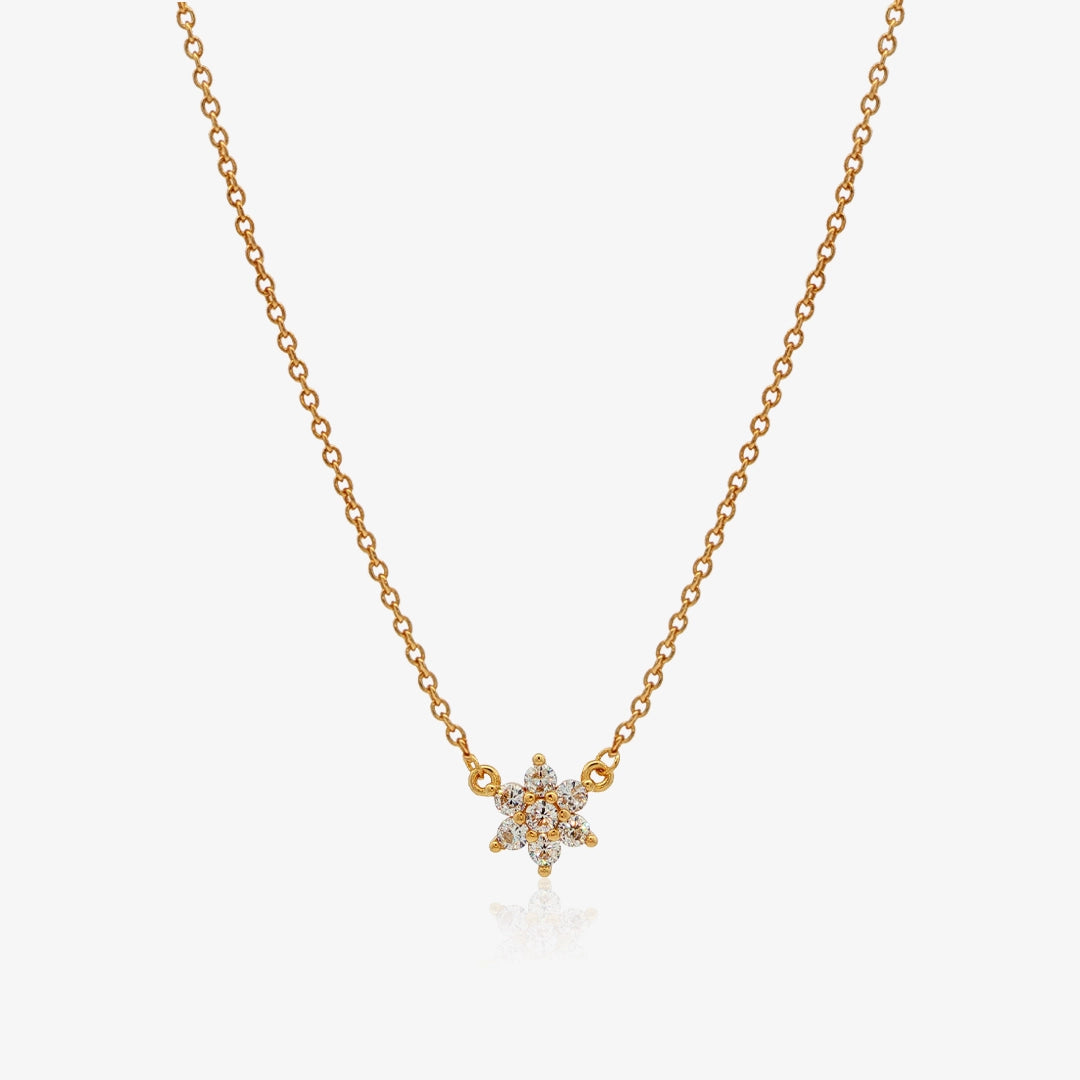 Collar Roseta