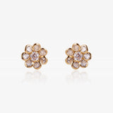 Pendientes Cindy