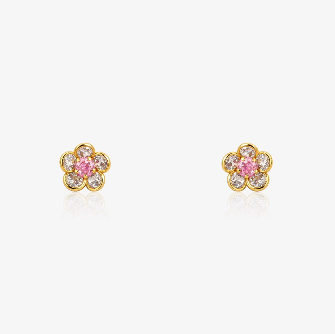 Pendientes CAYE