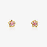 Pendientes CAYE