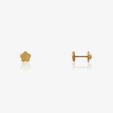 Pendientes Flor Brillo