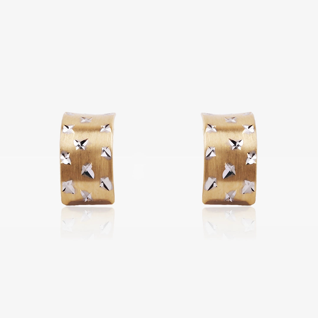 Pendientes Omega Bicolor