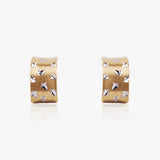 Pendientes Omega Bicolor