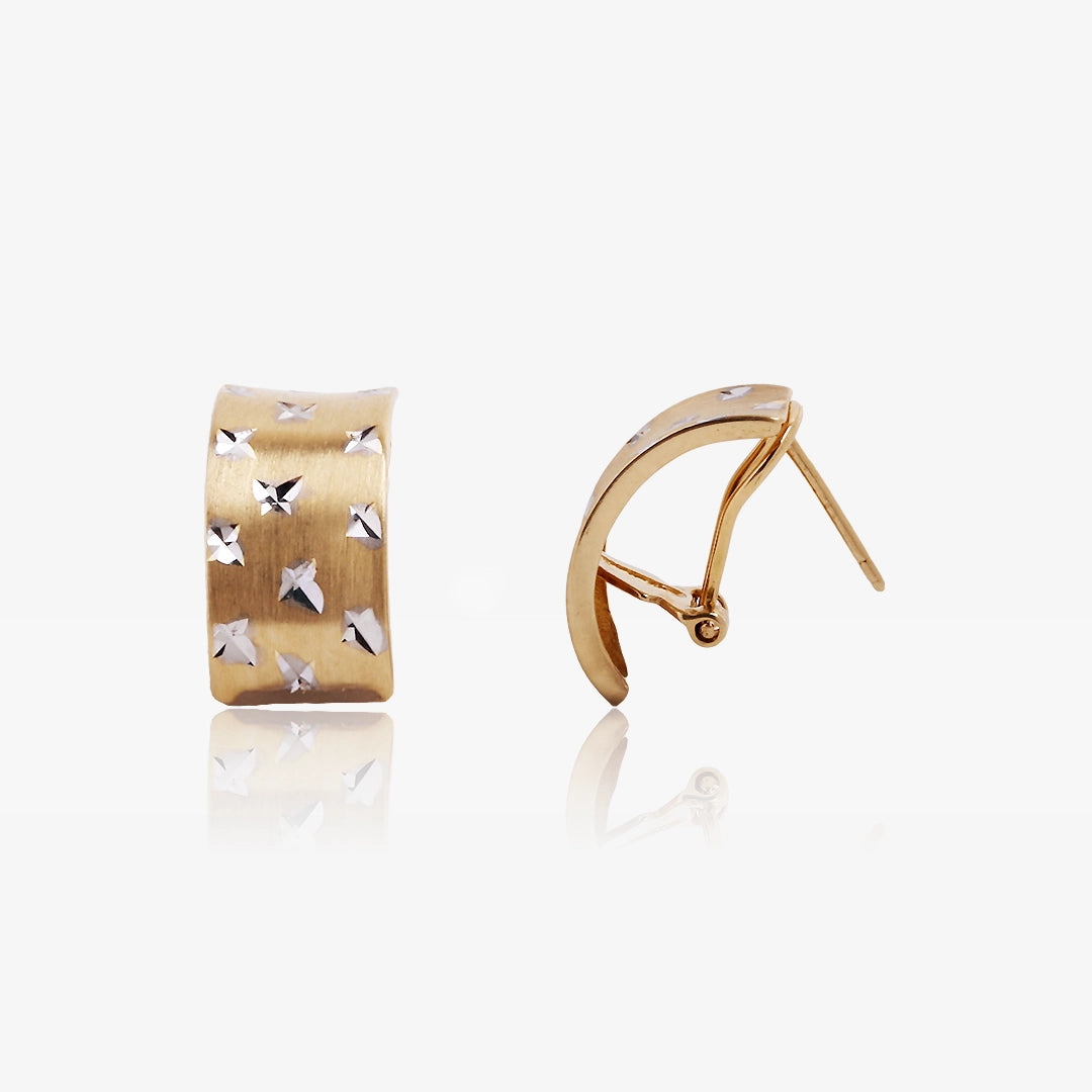 Pendientes Omega Bicolor