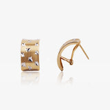 Pendientes Omega Bicolor