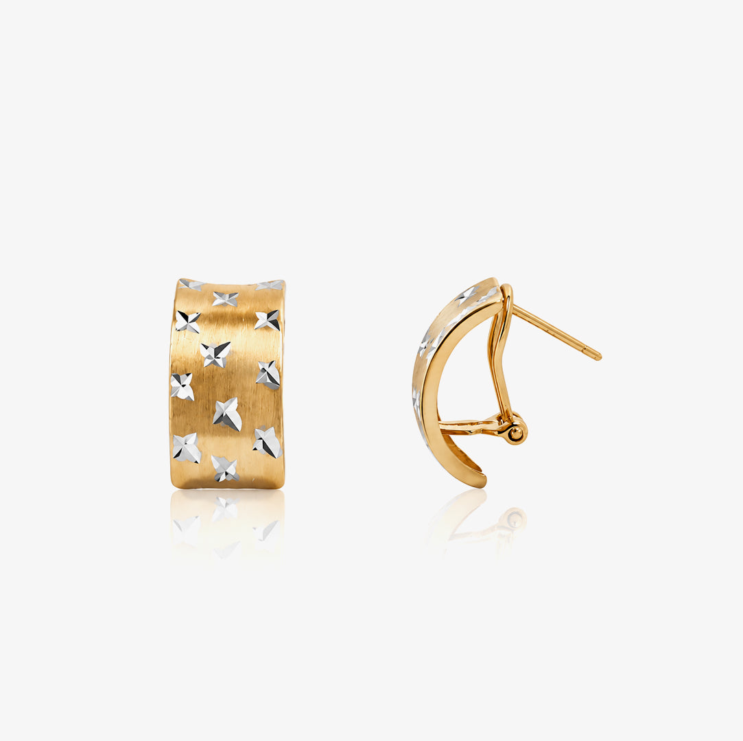 Pendientes Omega Bicolor