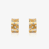 Pendientes Omega Bicolor