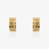 Pendientes Omega