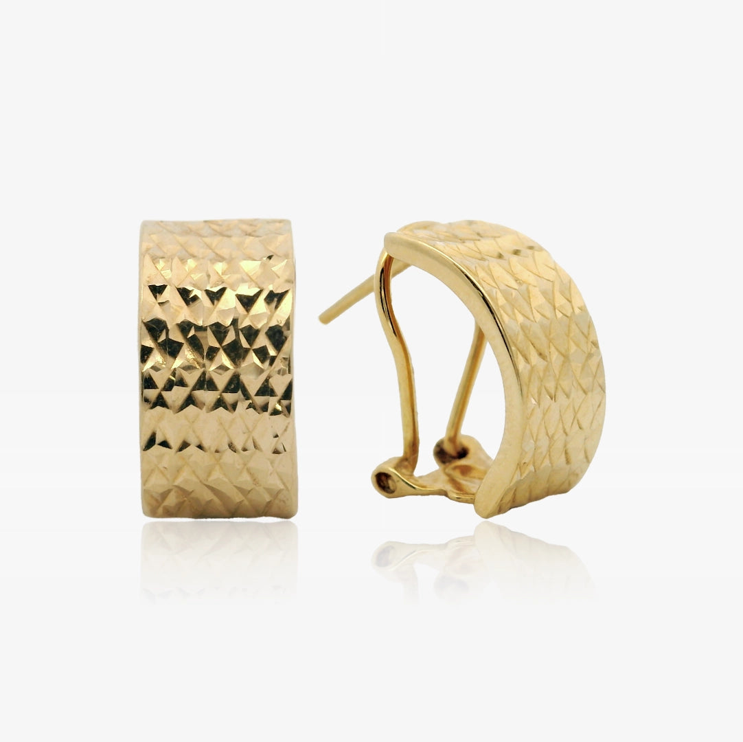 Omega Earrings