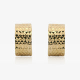 Omega Earrings