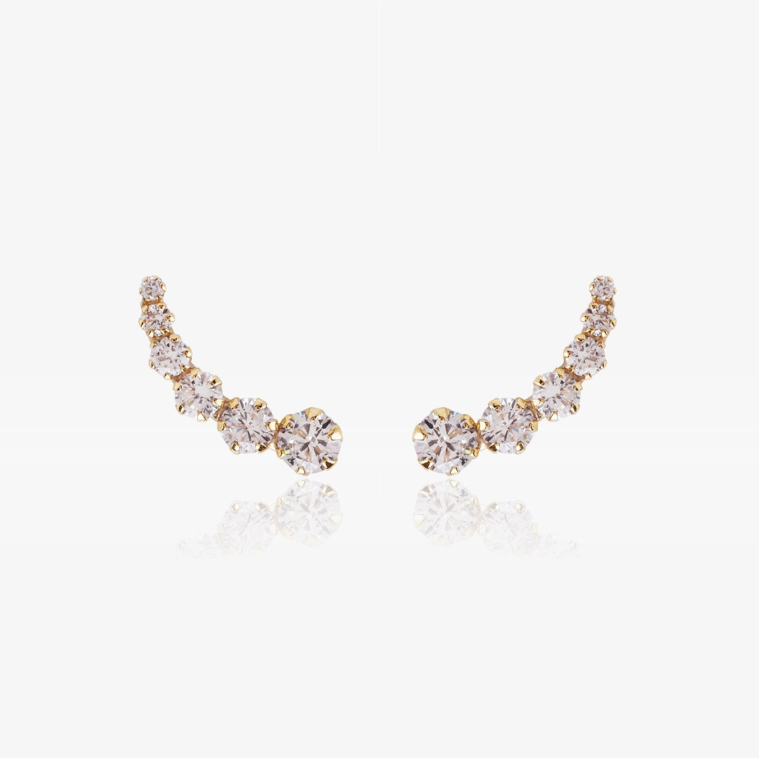 Climbing earrings