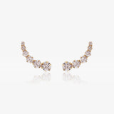 Climbing earrings