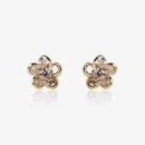 Pendientes Chiara