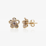 Pendientes Chiara