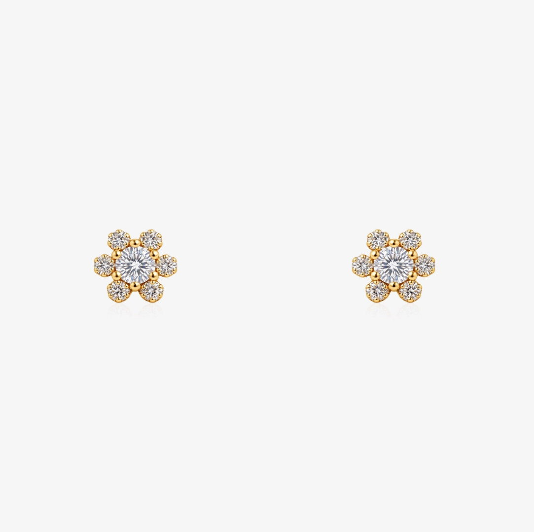 Camila's Earrings