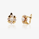 Pendientes Cielo