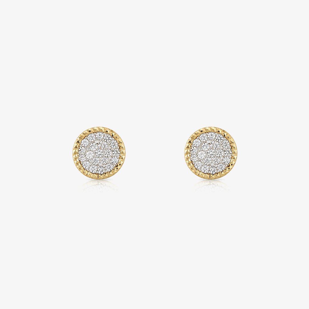 Resin Hoop Earrings