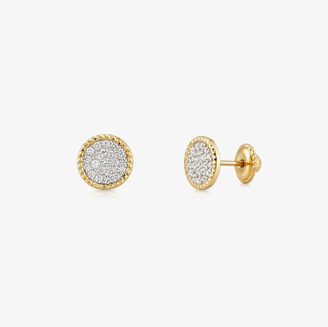 Resin Hoop Earrings