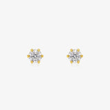 Pendientes Garras Canastilla