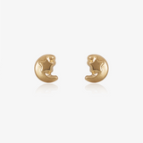 Pendientes luna y estrella