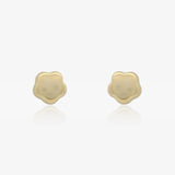 Pendientes Flor Brillo