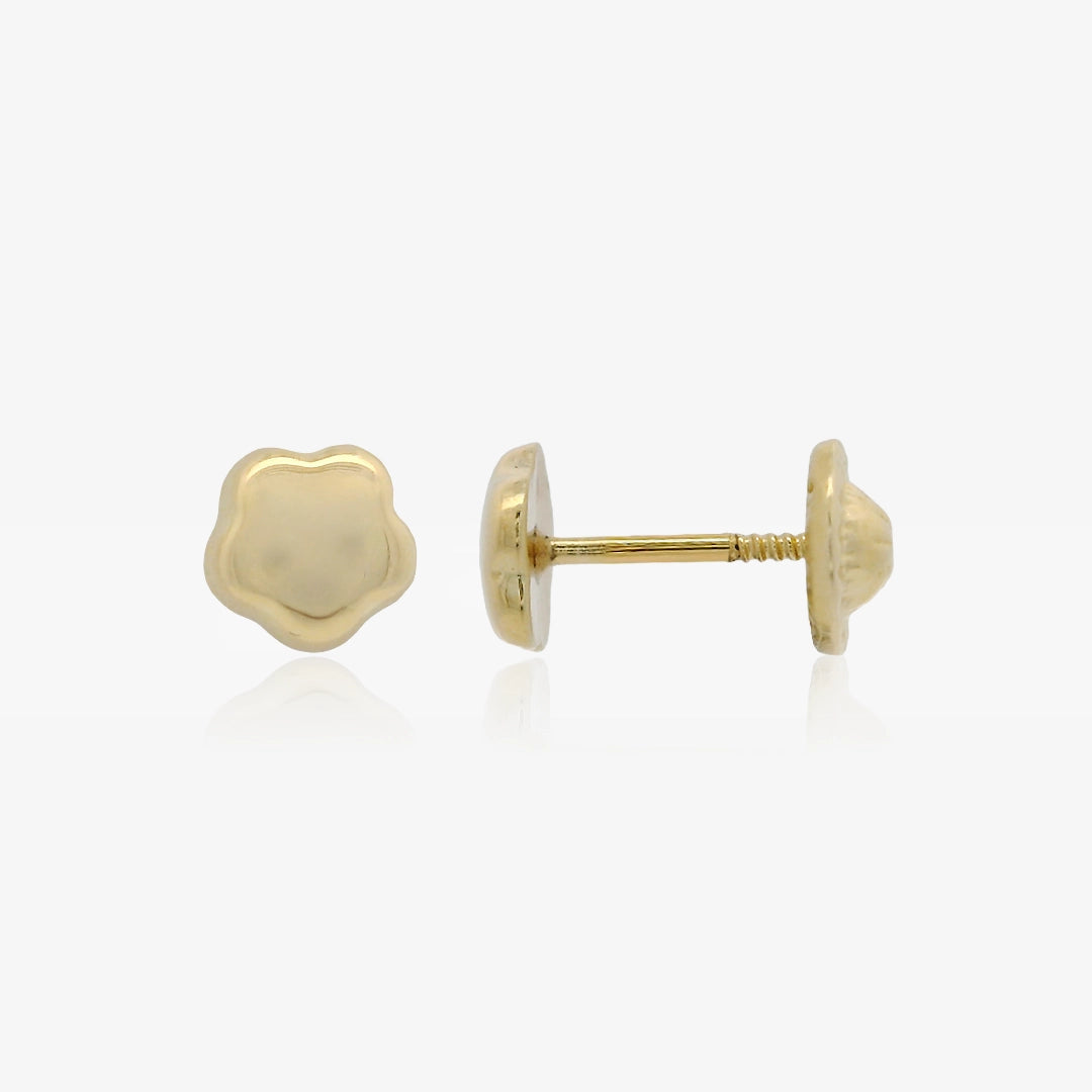 Pendientes Flor Brillo
