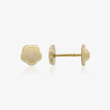 Pendientes Flor Brillo