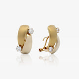 Double Band Stone Earrings